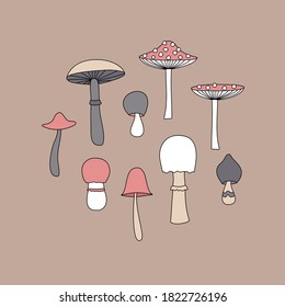 collection of hand-drawn inedible mushrooms, toadstools. vector color illustration.