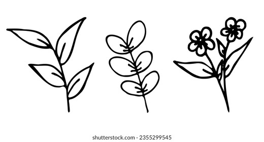 Colección de ilustraciones aisladas hechas a mano de plantas sobre un fondo blanco. Colección de bocetos de flores, segunda parte