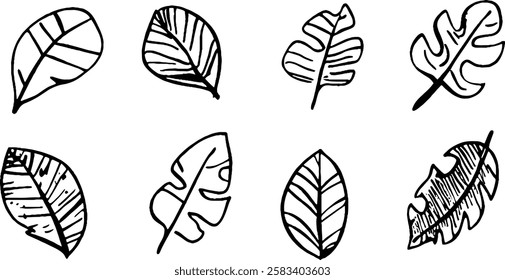 A collection of hand-drawn leaf illustrations featuring various shapes and patterns. The design showcases eight unique leaves, each with distinct lines and textures, ideal for botanical themes.