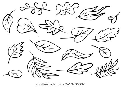 Collection of hand-drawn leaf illustrations in various shapes and styles on white background – perfect for botanical design, nature-themed projects, coloring books, and decorative elements.