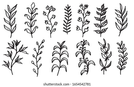 a collection of hand-drawn leaf images for printing designs, wallpapers and textile designs