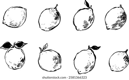 A collection of hand-drawn lemon illustrations, featuring various angles and styles. Each lemon is depicted with unique details, showcasing their round shape and textured skin.