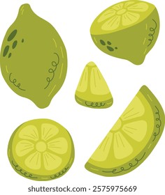 A collection of hand-drawn lime pieces showcasing whole limes, slices, and wedges. Ideal for food-related designs and educational materials.