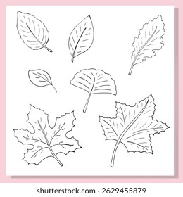 Collection of hand-drawn outline illustrations of various autumn leaves. Simple botanical line art style with different leaf shapes, perfect for coloring books, seasonal designs, and nature-themed pro