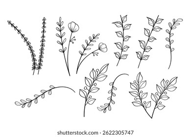 A collection of hand-drawn plant illustrations featuring various leaves and branches in a minimalist line art style, vector illustration.​