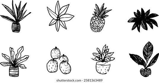 A collection of hand-drawn plants and fruits, including potted plants, a pineapple, and various leafy designs. The style is whimsical and artistic, suitable for botanical illustrations.