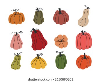Collection of hand-drawn pumpkins and gourds in various shapes and colors with black stems, leaves, and vines in flat vector style on white background