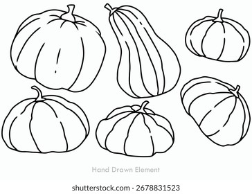 Una colección de calabazas y calabazas dibujadas a mano en varias Formas y tamaños, delineadas en negro sobre un fondo blanco.