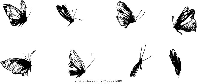 A collection of hand-drawn sketches of butterflies in various poses and angles, showcasing their delicate wings and intricate details.