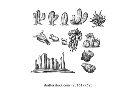 A collection of hand-drawn sketches depicting various desert plants, rocks, and a skull.