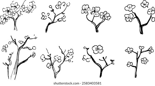 A collection of hand-drawn sketches of flowering branches, showcasing various styles and arrangements of blossoms and twigs.