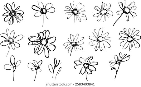 A collection of hand-drawn sketches of flowers, showcasing various styles and perspectives. The flowers are depicted in simple black lines on a white background, emphasizing their delicate shapes.