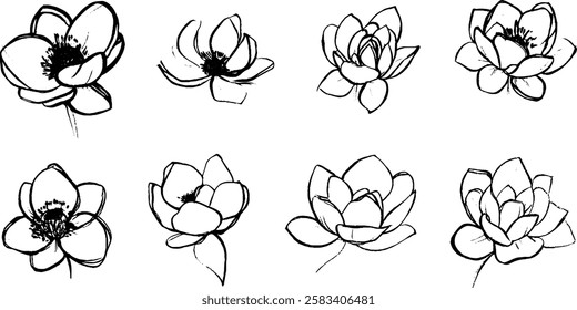 A collection of hand-drawn sketches of lotus flowers in various styles and perspectives, showcasing their delicate petals and intricate details.