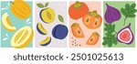 Collection of hand-drawn summer fruit illustrations: yellow melon, plums, persimmons and figs.