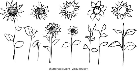 A collection of hand-drawn sunflowers and plant stems, showcasing various stages of growth and different styles of sunflowers. The illustrations are simple and whimsical