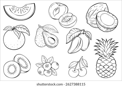 Collection of hand-drawn tropical and seasonal fruits in black and white outline style