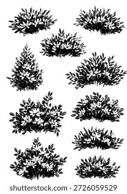 Colección de ilustraciones de arbustos y arbustos de Vector dibujados a mano con un estilo artístico texturizado, natural, orgánico y rústico similar a la tiza o al carbón