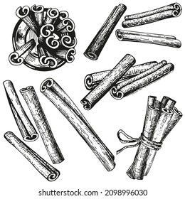 Collection of hand-drawn vector sketches of cinnamon. A set of isolated illustrations on a white background. Vintage style engraving