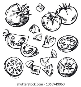 Collection of hand-drawn vector tomatoes. Tomato set. Monochrome drawing in the style of engraving. Cliparts
