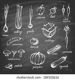 Collection of hand-drawn vegetables