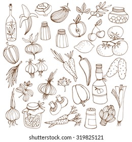 Collection of hand-drawn vegetables and fruit, vector illustration in vintage s