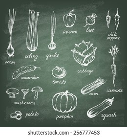 Collection of hand-drawn vegetables. Retro vintage style food design on the green blackboard .Vector illustration.