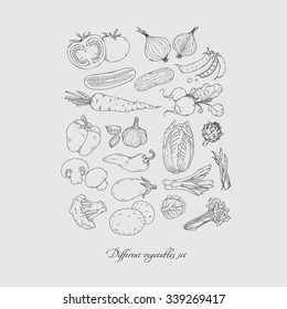 Collection of hand-drawn vegetables set, isolated vector  hand drawn doodle illustration.