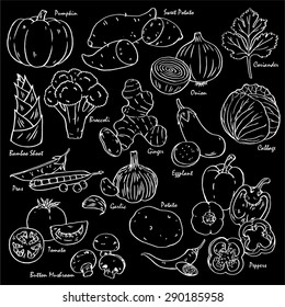 Collection of hand-drawn vegetables and spices in black background.