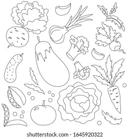colección de verduras hechas a mano, ilustración vectorial. contornos negros sobre un fondo blanco para un libro coloreado.