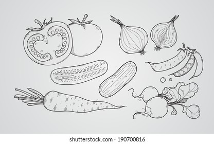 Collection of hand-drawn vegetables, vector illustration in vintage style.