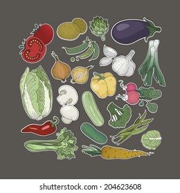 Collection of hand-drawn vegetables, vector illustration in vintage style.