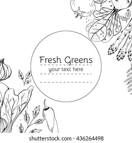 Collection of hand-drawn vegetables, vector illustration in vintage style.