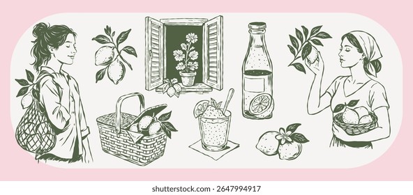 Collection of hand-drawn vintage summer elements featuring lemons, lemonade bottle, citrus sorbet, window with flowers, picnic basket, and women with fruits. Mediterranean Italian countryside