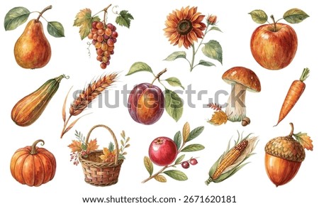 Collection of hand-painted autumn harvest elements in watercolor style. Perfect for fall designs, invitations, packaging, and seasonal projects. Warm, cozy and natural look for creative use.