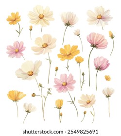 Uma coleção de flores silvestres de aquarela pintadas à mão em tons de pastel macio, com flores amarelas, cor-de-rosa e creme em um fundo branco.
