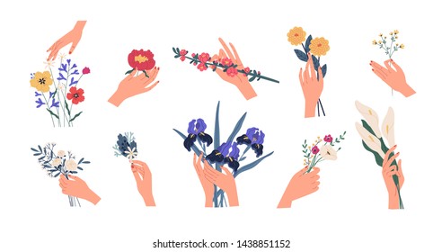 Collection of hands holding bouquets or bunches of blooming flowers. Bundle of floral decorative design elements isolated on white background. Set of elegant summer gifts. Flat vector illustration.