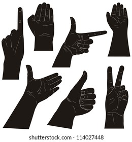 Collection of hands on different positions, illustration