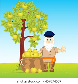Collection of the harvest apple