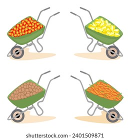 Collection. The harvest of potatoes, carrots, tomatoes, peppers has been collected. Garden tools, wheelbarrow. A necessary thing in the household. For transportation of goods. Vector illustration set.