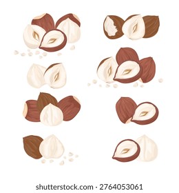 Collection of hazelnuts including whole, halves, shelled and pieces. Ideal for food design, healthy nutrition themes, packaging, recipes and ingredient presentations.