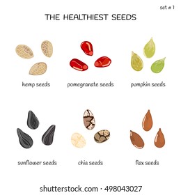 Collection of healthiest seeds with names including hemp, pomegranate, pumpkin, sunflower, chia and flax. Illustration in cartoon style.