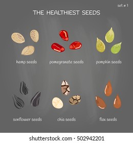 Collection of healthiest seeds with names including hemp, pomegranate, pumpkin, sunflower, chia and flax. Illustration in cartoon style.