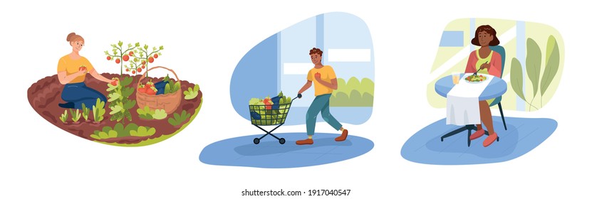 Collection of healthy and wholesome vegetarian food plots. Girl collects food from the garden, man buys and woman eat vegetarian food.
