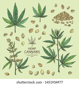 Collection of hemp: cannabis seeds and plant. Superfood. Cosmetic and medical plant. Vector hand drawn illustration