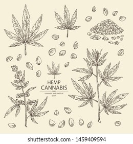 Collection Of Hemp: Cannabis Seeds And Plant. Superfood. Cosmetic And Medical Plant. Vector Hand Drawn Illustration