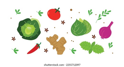 Collection of herb and vegetable illustration. Set of raw healthy food in cartoon style