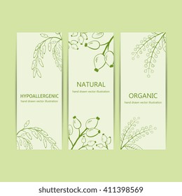 Collection herbal banner with bird cherry, rose hip, barberries. Medicinal berry.