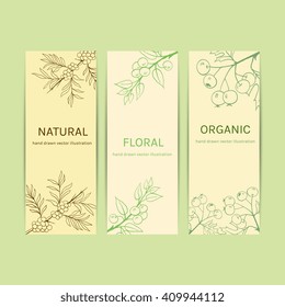 Collection herbal banner with blackthorn, sea buckthorn, hawthorn. Medicinal berry.