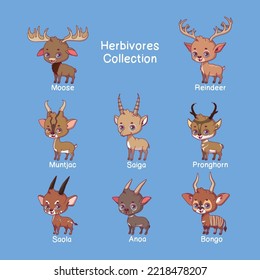 Collection of herbivore animals with name text