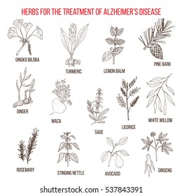 Collection of herbs for Alzheimer disease. Hand drawn botanical vector illustration